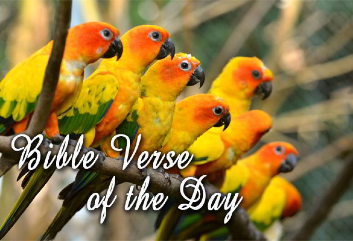 Bible Verse of the Day September 16 – Nahum 1:7