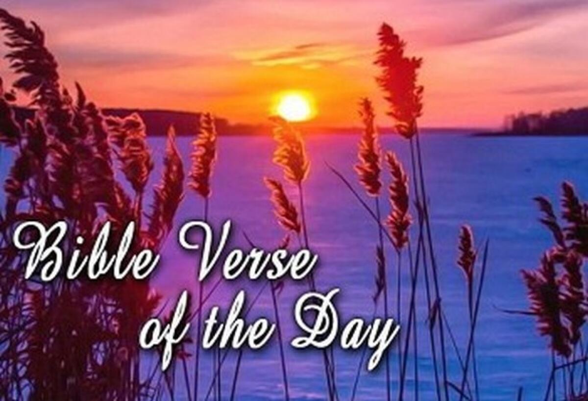 Bible Verse Of The Day December 30 – John 1:14