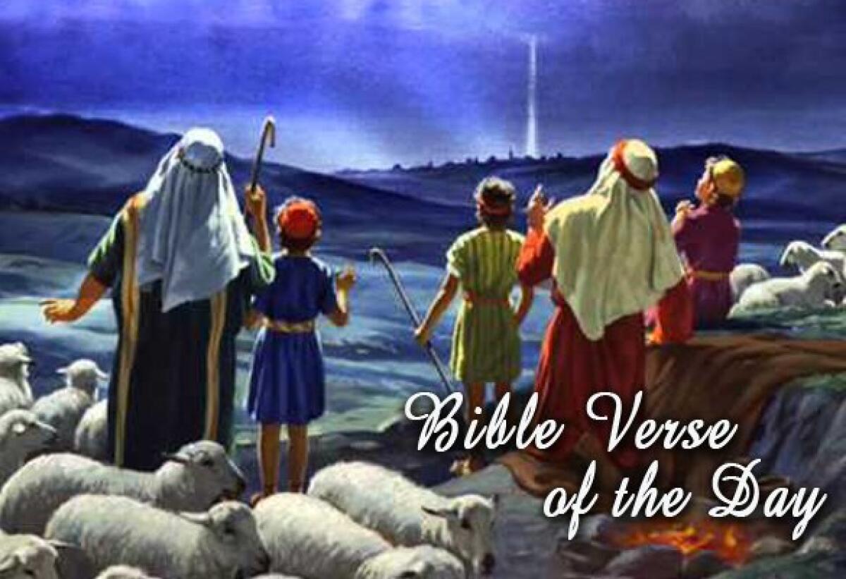 Bible Verse Of The Day December 24 - Luke 2:8-10