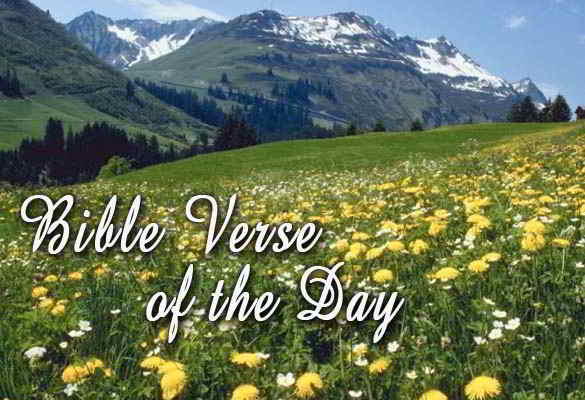 Bible Verse of the Day August 11 - Psalm 68:19