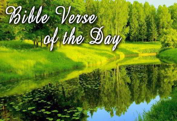 Bible Verse of the Day August 23 – 2 Chronicles 7:14