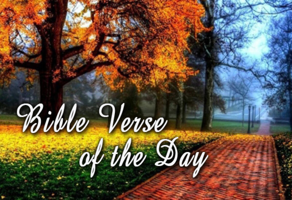 Bible Verse of the Day October 20 – Mark 8:34-35