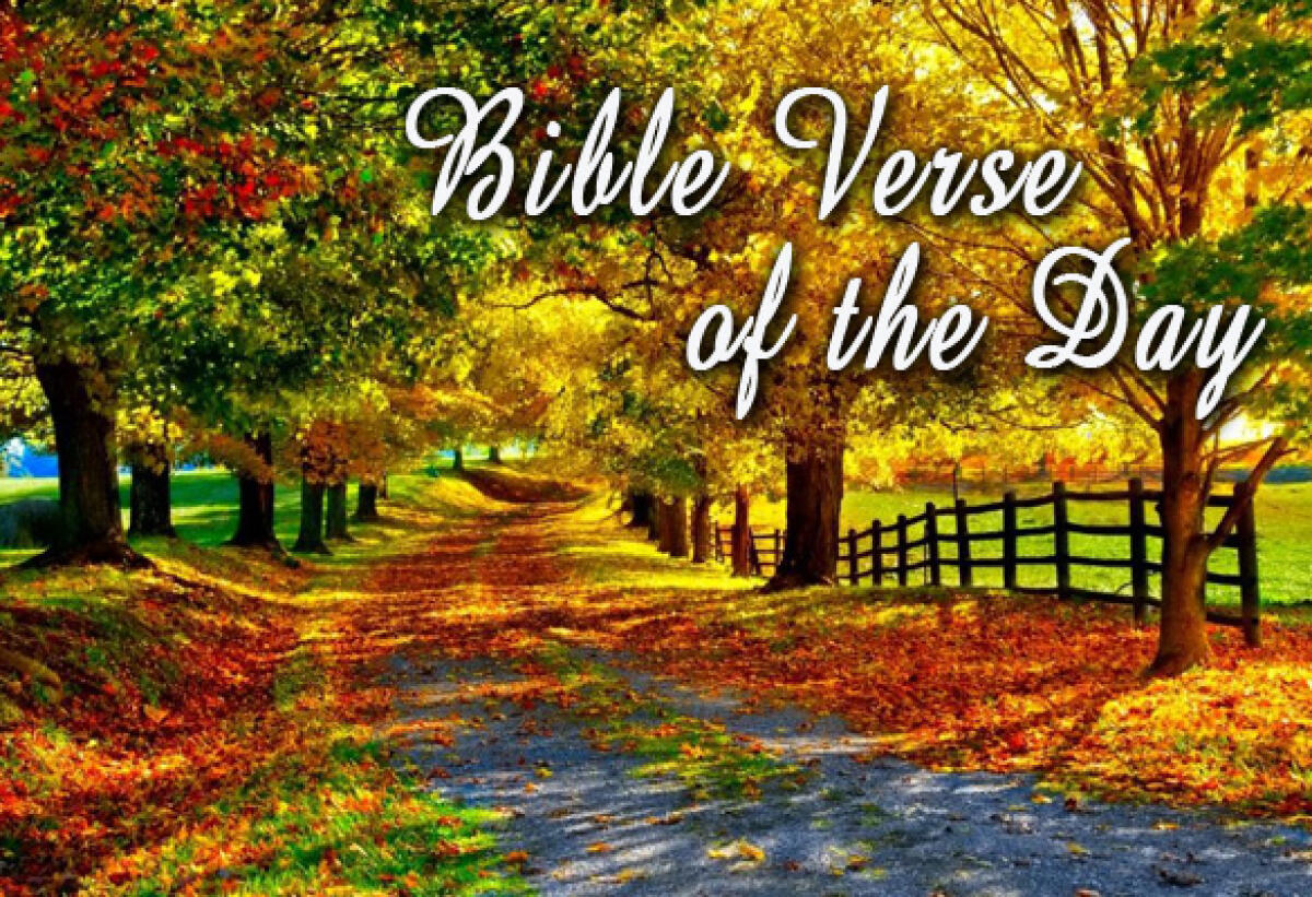 Bible Verse Of The Day November 30 - 1 Peter 3:13