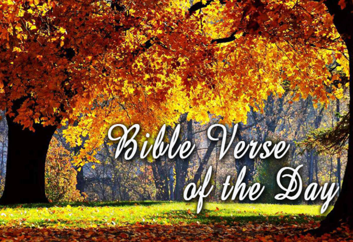 Bible Verse Of The Day November 14 – Hebrews 4:16