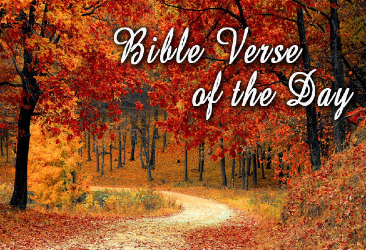 Bible Verse of the Day October 2 – Proverbs 21:21