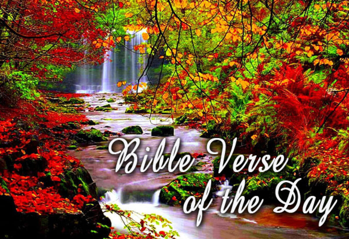 Bible Verse Of The Day November 17 – Proverbs 2:6