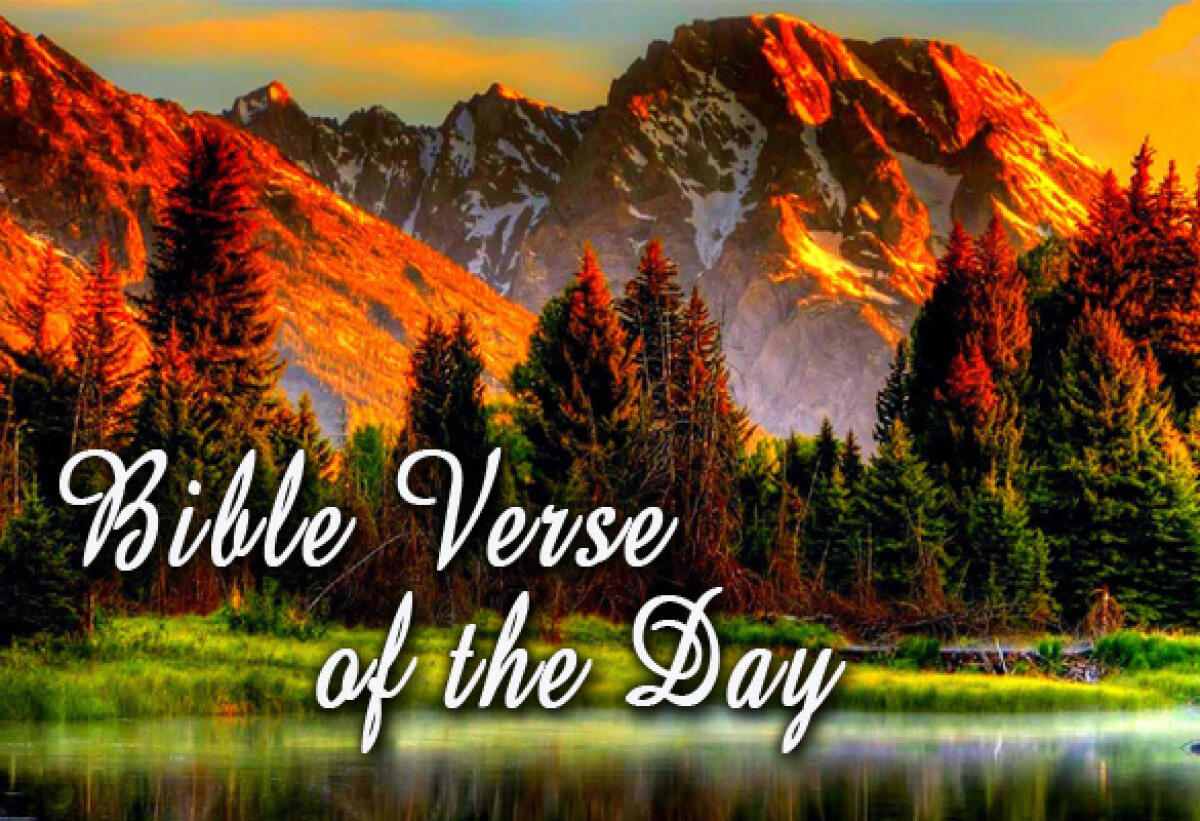 Bible Verse Of The Day November 18 - Proverbs 22:4