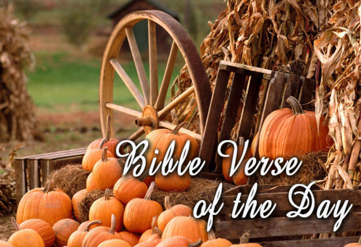 Bible Verse Of The Day November 26 – Psalms 91:4