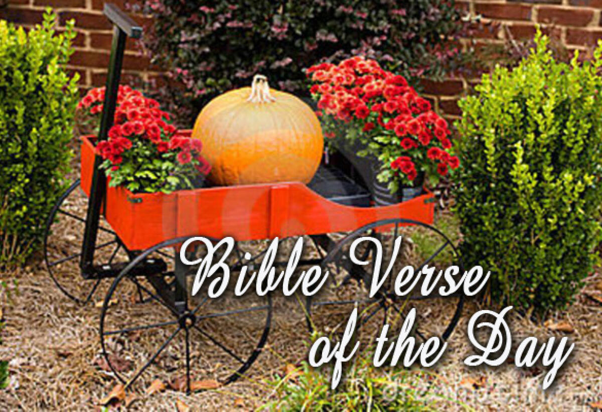 Bible Verse Of The Day November 21 – Psalms 42:11