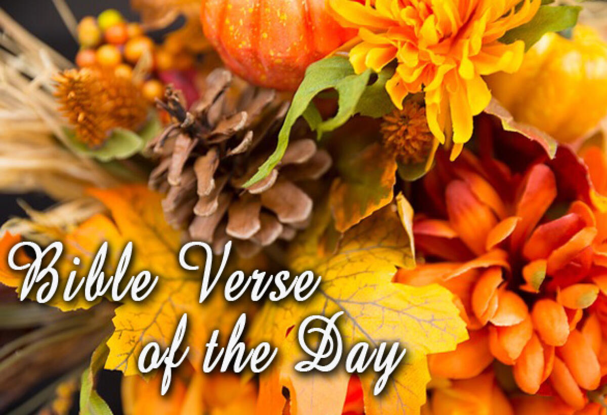 Bible Verse Of The Day November 23 - Psalms 121:5