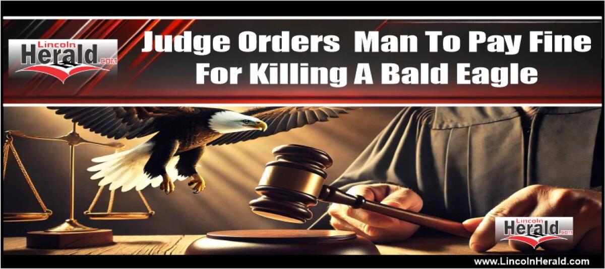 Federal Judge Orders Man To Pay $9,500 Fine For Killing  A Bald Eagle