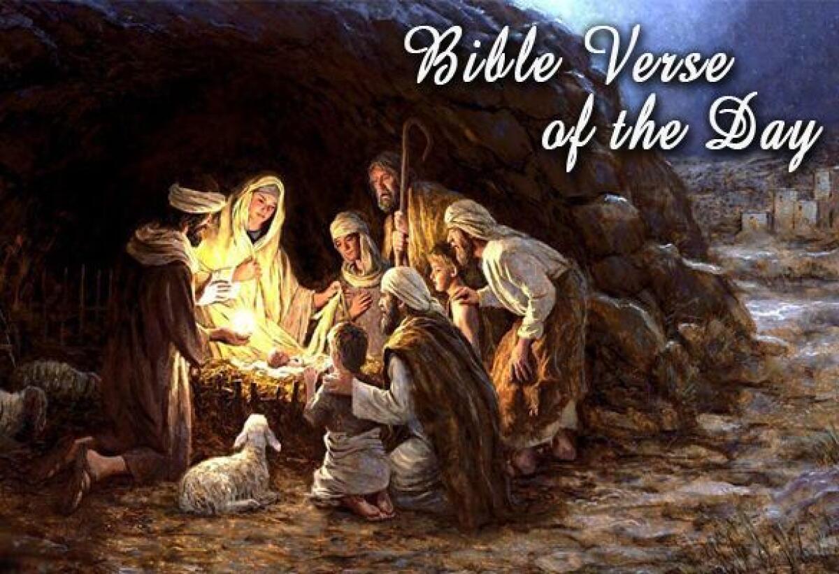 Bible Verse Of The Day December 29 – Luke 2:14