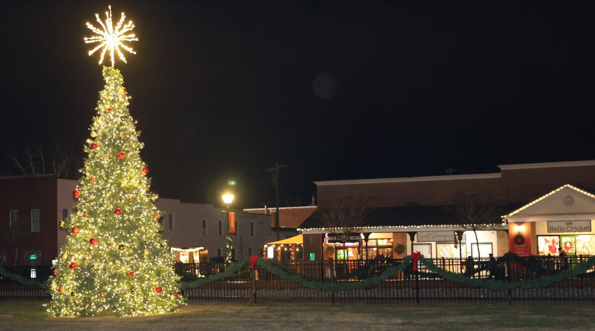 Stanley Has Christmas Tree-Lighting Ceremony