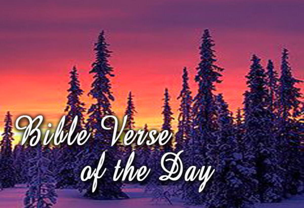 Bible Verse Of The Day January 14 - Isaiah 40:3