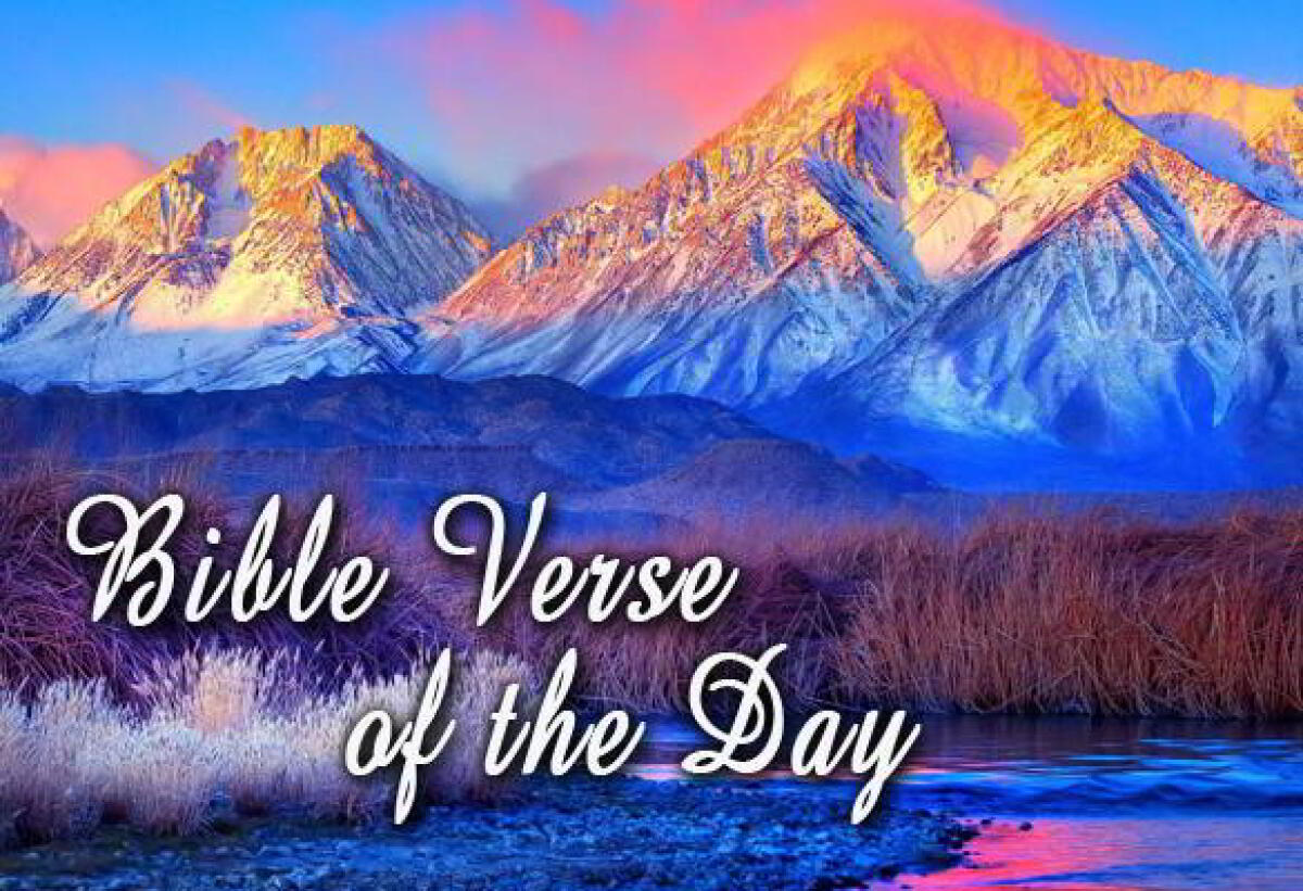 Bible Verse Of The Day January 16 – John 1:29