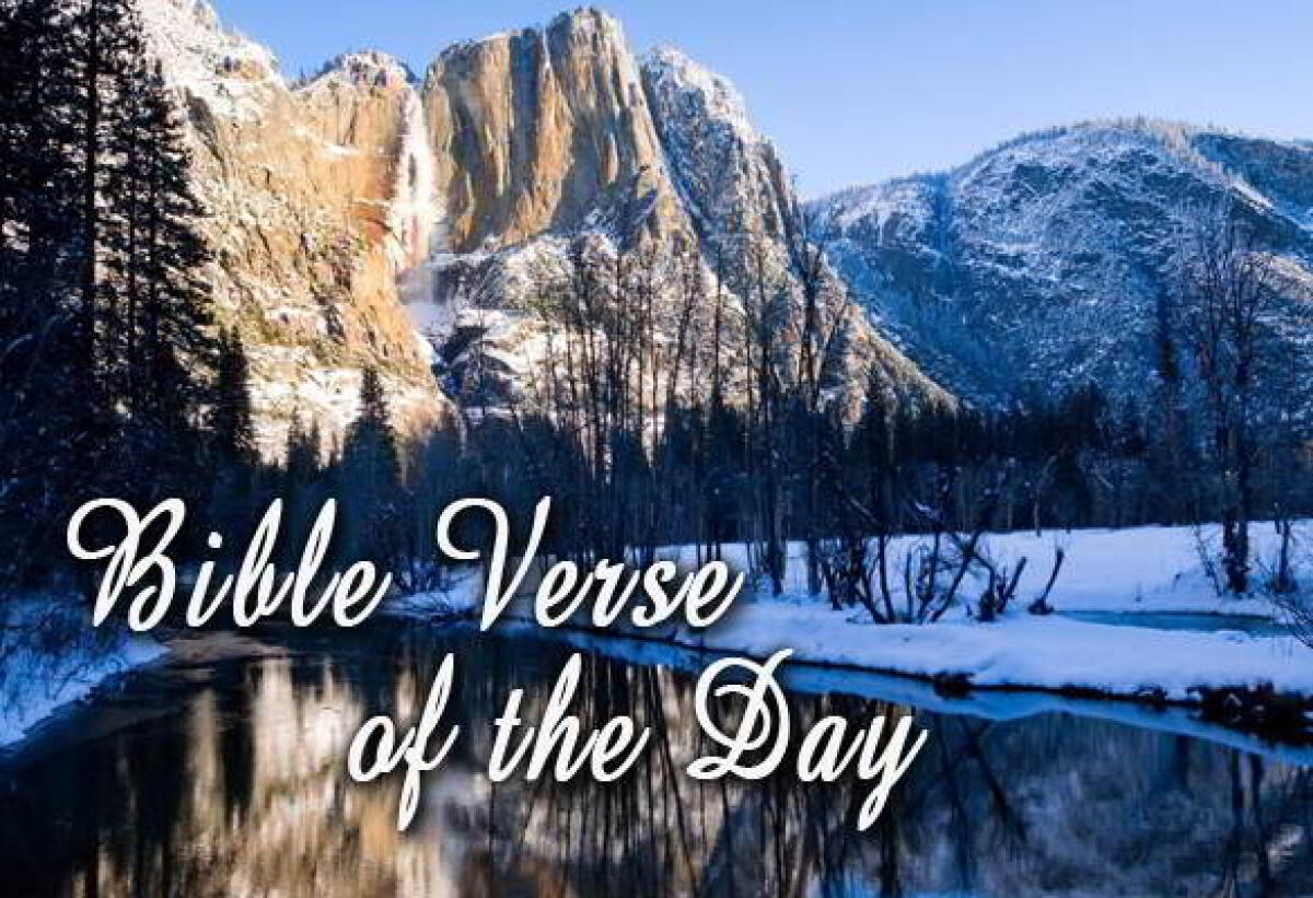 Bible Verse Of The Day January 17 – Proverbs 19:21