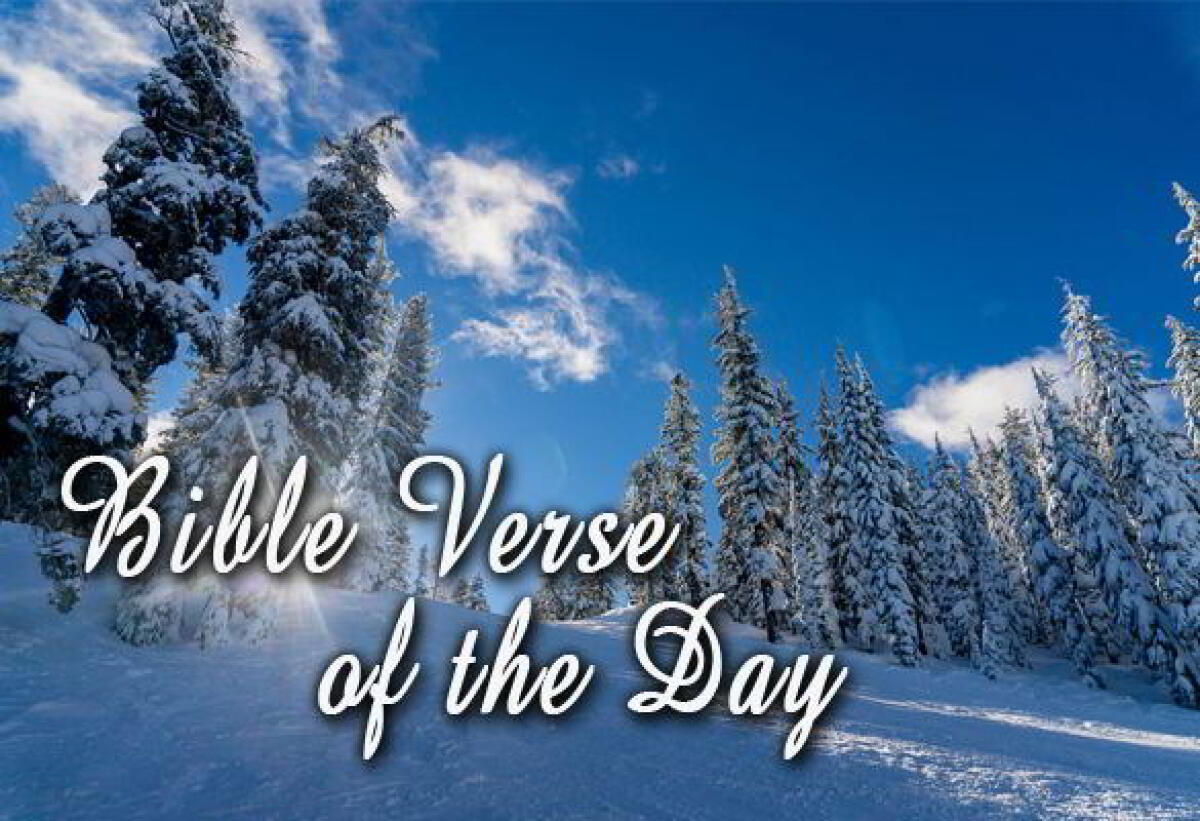 Bible Verse Of The Day January 20 – Matthew 7:1-2