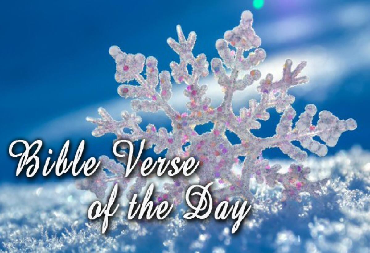 Bible Verse Of The Day January 22 – Psalm 18:30