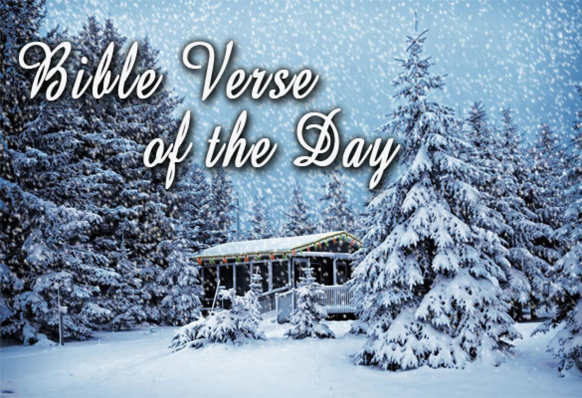 Bible Verse Of The Day January 23 – Jeremiah 29:11