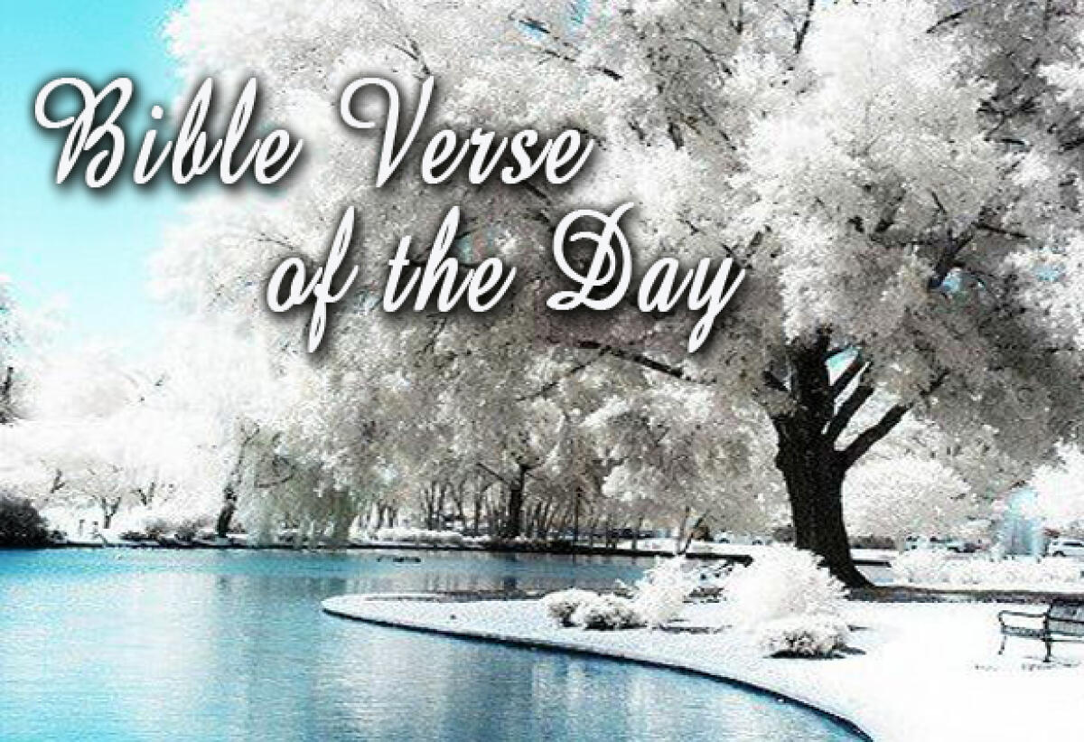 Bible Verse Of The Day January 24 – Jeremiah 33:3